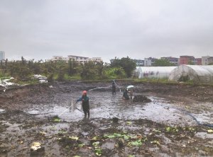 达拉特河道鱼塘清淤
